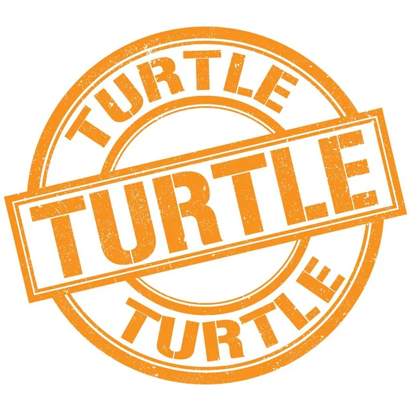Turtle Text Skriven Orange Runda Stämpel Tecken — Stockfoto