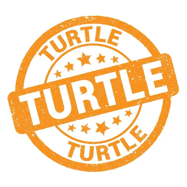 Texto Turtle Escrito Sinal Carimbo Grungy Laranja — Fotografia de Stock