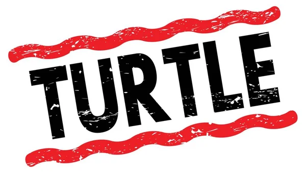 Texto Turtle Escrito Sinal Carimbo Linhas Vermelho Preto — Fotografia de Stock