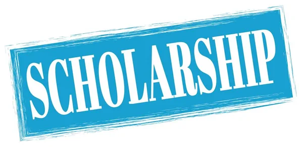 Scholarship Texto Escrito Sinal Carimbo Retângulo Azul — Fotografia de Stock
