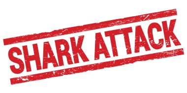 Shark Saldırı metni kırmızı dikdörtgen işareti üzerine yazılmış.