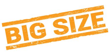 BIG SIZE text written on orange rectangle stamp sign.