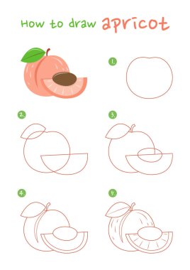 Kayısı meyvesi çizimi nasıl yapılır. Adım adım kayısı meyvesi çiz. Şirin ve kolay çizim rehberi.