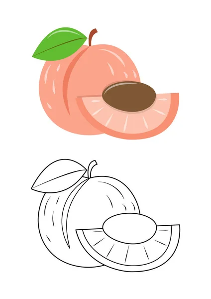 Apricot Fruit Cute Vector Illustration Cartoon Isolated White Background Apricot — Stock Vector