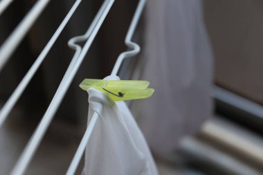 Çamaşır askısında kuruması için ıslak bir parça elbise tutan sarı bir mandalın portresi..