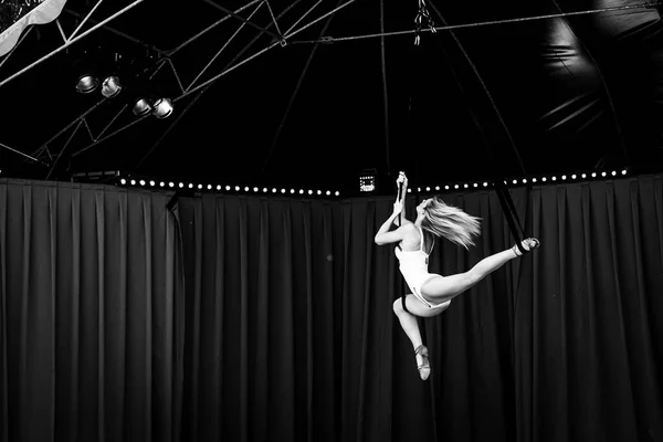 A black and white elegant portrait of a entertainer hanging up high in a beautiful pose using some ropes in a circus tent. The flexible artist is a skilled performer and has a act in balance.