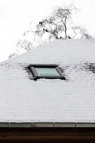 Kışın Etrafı Karla Çevrili Çatı Penceresi Olan Tahta Çatının Portresi — Stok fotoğraf