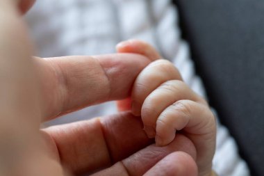 Bir bebeğin küçük parmaklarının, ebeveynin elinin parmaklarını tutarken ya da tutarken yakın plan bir portresi. Bir çocuk ve ebeveyn arasındaki ilgiyi, bağımlılığı ve sevgiyi göstermek.