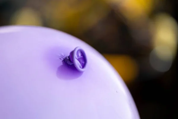 A portrait of the knot above the lip and neck of a purple balloon. The festive decoration is ready to be used to play with by children or adults and have some fun at a birthday party or anniversary.