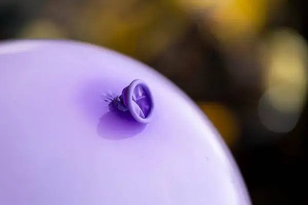 A portrait of the knot in the neck and lip of a purple balloon. The festive decoration is ready to be used to play with by children or adults and have some fun at a birthday party or anniversary.