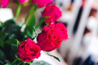 Zarif bir şekilde açan üç kırmızı gülün yakından görüntüsü, zengin kırmızı yaprakları, koyu yeşil yapraklara zıt düşüyor. Bu görüntü romantizm, entelektüellik ve çiçeklerin ebedi güzelliğini yayar..