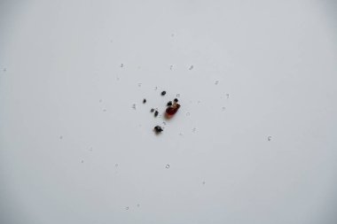 Birkaç bitki özü kristali, büyük ve küçük, beyaz arka planda üst üste dizilmiş..