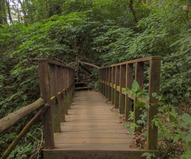 Kew Mae Pan 'daki tahta köprü doğa yolu, Chiang Mai, Tayland