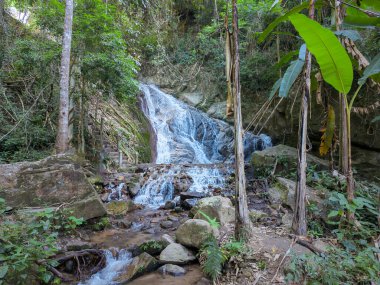 Mae Kampong Şelalesi kışın kenarda bir muz ağacı var, Chiang Mai, Tayland