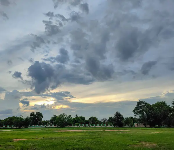 Arkasında bir çit ve ağaçlar var. Gökyüzü ve bulutların üstünde.