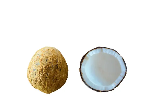 Kabuğu ve beyaz hindistan cevizi etini görene kadar soyulmuş olgun hindistan cevizi.