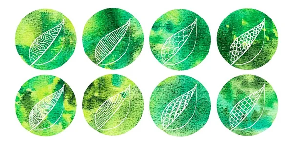 Collection of green colorful circles with botanical pattern. Set of abstract watercolor circles design with space for text and your design. Round highlight backgrounds for social media stories, story