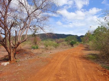 Tayland kırsalında ağaçlı ve mavi gökyüzü olan toprak yol