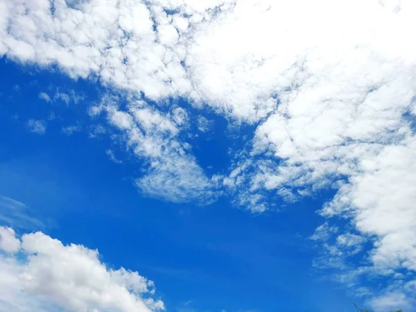 Fondo Cielo Azul Con Nubes Hojas Primer Plano —  Fotos de Stock