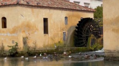Portogruaro şehrinde yürüyüş ve gözlem - İtalya