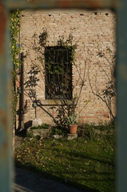 Pencereli tuğla duvar ve tırmanan bitki örtüsü