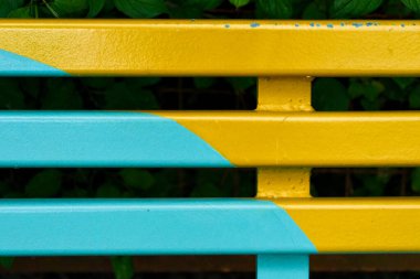 Parktaki ahşap bank.