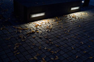 İtalyan güzelliğini en büyüleyici ve gizli kısımlarıyla yürüyüp fotoğraflıyor.