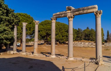 Selcuk, Türkiye - 5 Kasım 2022 - Efes Arkeoloji Parkı, Türkiye