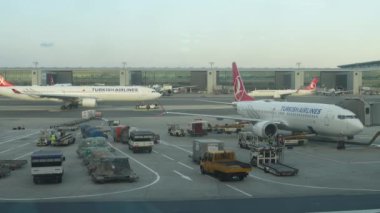 İstanbul, Türkiye - 22 Ağustos 2024 - Türk Hava Yolları 737-Max 8, İstanbul Havalimanı 'nda TC-LCP kaydı ve arka planda A330-300 taksisi