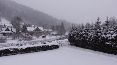 Polonya 'nın Zakopane kentinde çam ağaçları ile kış yağışı