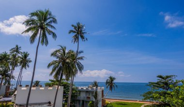 Vietnam 'ın Mui Ne tatil beldesinde palmiye ağaçları