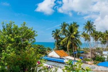 Palm trees in the beach resort town of Mui Ne, Vietnam clipart