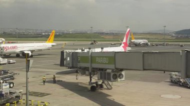 İstanbul, Türkiye - 13 Şubat 2025 - Pegasus Havayolları ve Air Arabia uçakları