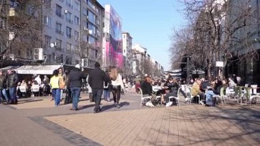 Sofya, Bulgaristan - 2 Şubat 2025 - Vitosha Bulvarı yaya bölgesi