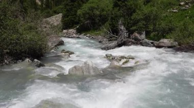 Akan nehirler ve dramatik manzaralar Ala Archa Ulusal Parkı, Kırgızistan