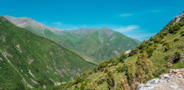 Kırgızistan 'daki Ala Archa Ulusal Parkı içindeki muhteşem manzaralar.