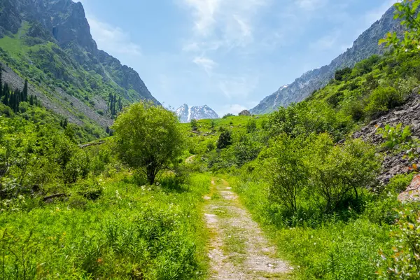 Kırgızistan, Bishkek yakınlarındaki çarpıcı Ala Archa Milli Parkı 'nda.