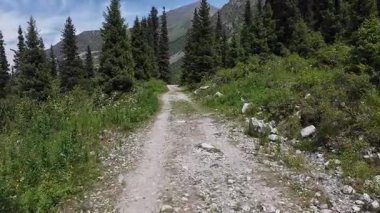 Kırgızistan 'daki Ala Archa Ulusal Parkı içindeki güzel dağlık manzaralar.