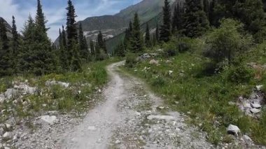 Kırgızistan 'daki Ala Archa Ulusal Parkı içindeki güzel dağlık manzaralar.