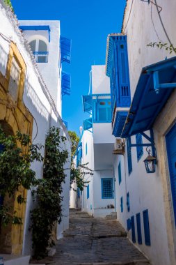 Tunus 'un Sidi Bou Said kasabasında güzel beyaz-mavi evler