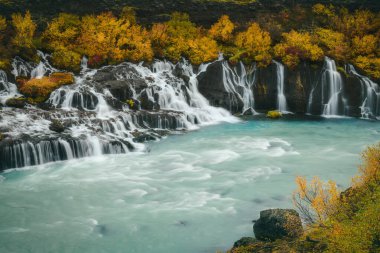 İzlanda 'daki güzel Hraunfossar Şelalesi' nin sonbahar manzarası, nehirde akan nehirler, renkli yapraklar, yemyeşil yapraklar,