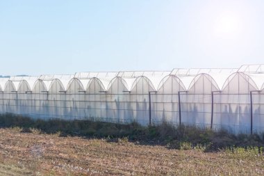 Özellikle muz olmak üzere meyve ve sebze yetiştirmek için geniş seraları olan tipik bir manzara. Ülkenin tarım endüstrisi kompleksi