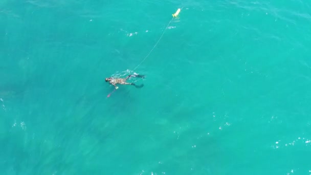 Aerial Drone Top View Spearfishing Scuba Diver Tropical Turquoise Exotic — Vídeos de Stock