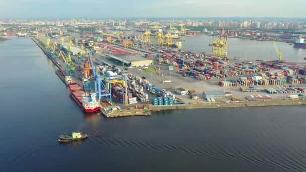大都市の貨物港海上倉庫のコンテナの上空からの飛行 空中ビュー — ストック動画
