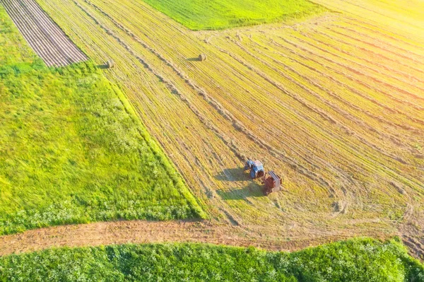 Boer Slaat Voer Voor Vee Het Zomerseizoen Luchtfoto Een Tractor — Stockfoto