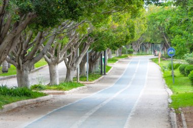 Yol ve güzel ağaçlar koşmak, yürümek ve bisiklete binmek için yeşil çimen tarlasında dinleniyor. Patikanın yukarısında sık ağaçlardan oluşan dar bir sokak, rahat bir park alanı.