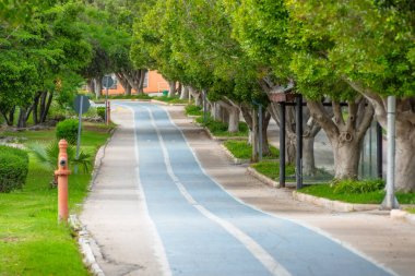 Yol ve güzel ağaçlar koşmak, yürümek ve bisiklete binmek için yeşil çimen tarlasında dinleniyor. Patikanın yukarısında ağaçlardan oluşan sık bir sokak, rahat bir park alanı, yol işaretleri.