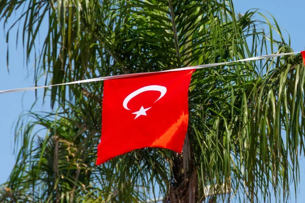 Flaga Turecka Tle Zielonych Palm — Zdjęcie stockowe