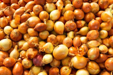 Kendi kabuklarında soğan soğanı, market tezgahında, doğal gıda dokusu.