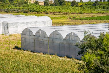 Özellikle muz olmak üzere meyve ve sebze yetiştirmek için geniş seraları olan tipik bir manzara. Ülkenin tarım endüstrisi kompleksi